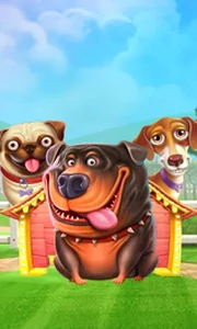 The Dog House